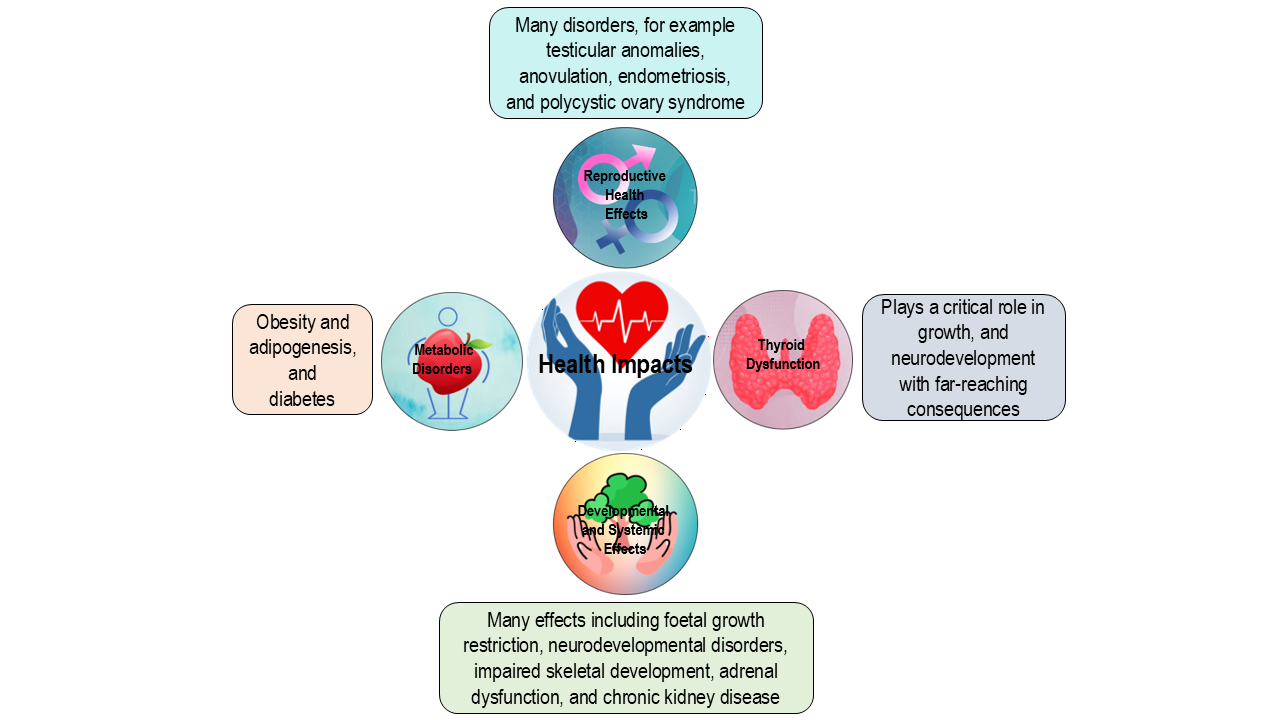 Examples of EDC health impacts
