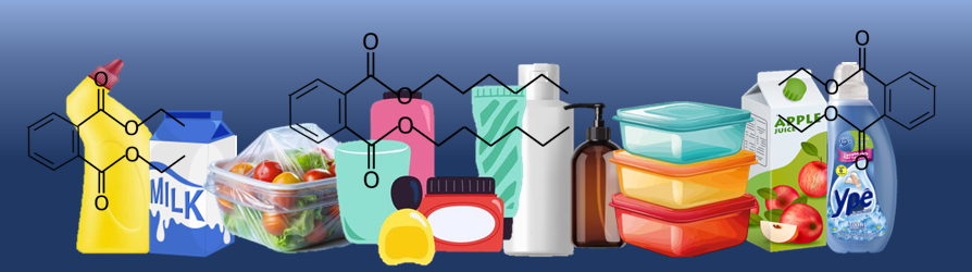 Phthalates are widespread endocrine disrupting chemicals in our environment