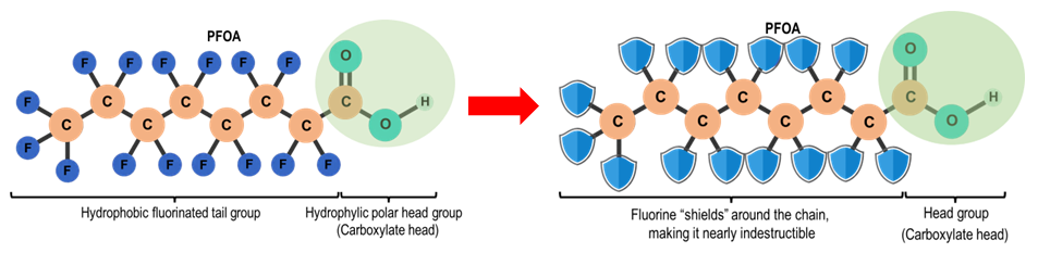 Carbon-fluorine bonds make PFAS nearly indestructible