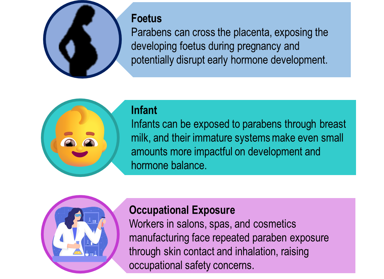 Groups vulnerable to parabens